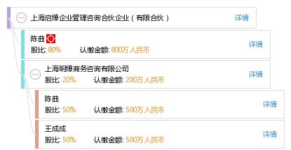 上海启燎企业管理咨询合伙企业（有限合伙） 商务咨询领域的专业服务典范