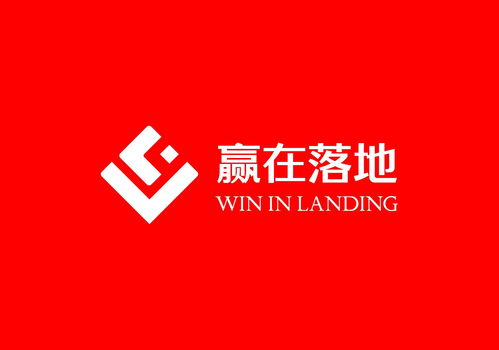 洞见落地之力 保定赢在企业管理与商务咨询的价值探索
